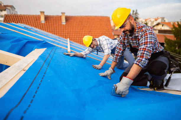 Roof Gutter Cleaning in Arp, TX